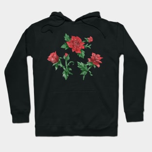 Roses with snow Hoodie